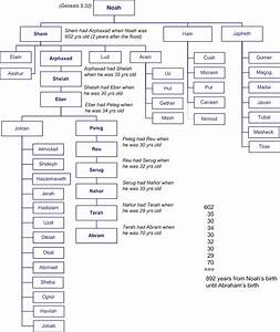 The Bible Noah 39 S Descendants