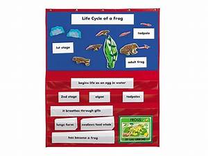 Lakeshore Learning Search Results For Today Is Learning Wall Chart
