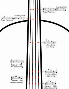 Double Bass Articulations Markings Guide Discover Double Bass