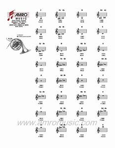 23 Best French Horn Images On Pinterest French Horn Instruments And