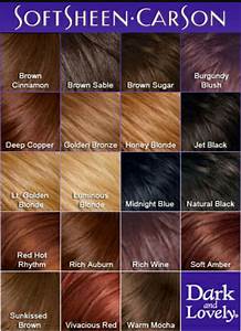 Black Hair Dyed Brown Reddish Brown Hair Color Honey Hair