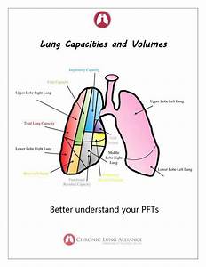 Lung Capacities And Volume Chart Respiratory Therapist Student