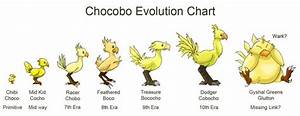 Chocobo Evolution Chart Photo Editing History Final 