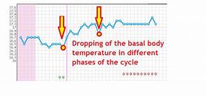The Basal Body Temperature Drop Interpretation Charts