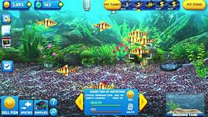 Fish Tycoon 2 How To Get Magic Fish Golden Guppy Of Isola Youtube