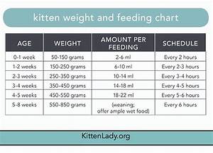 Kitten Feeding Chart Cat Feeding Chart Feeding Kittens Cats And