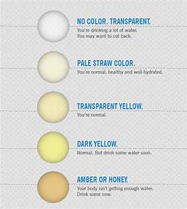 Free 10 Sample Urine Color Chart Templates In Pdf Ms Word