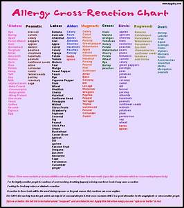 Allergy Cross Reacting Chart To Be Honest I 39 M Not Sure Where She 39 S