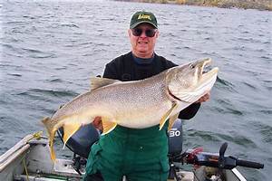 Could This Work For Lake Trout Other Fish Species Bass Fishing Forums