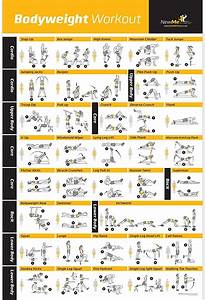 Newme Fitness Bodyweight Exercise Poster Total Body Workout
