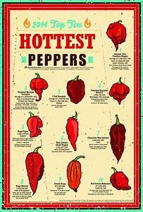 Pepper Chart By Spiciness Though I Know When Growing Them At Home