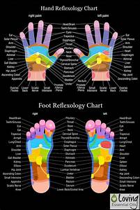 Hand And Foot Reflexology Chart Pictures Photos And Images For