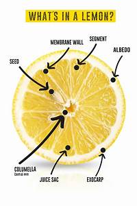 What S In A Lemon Welcome To The Lemon Age