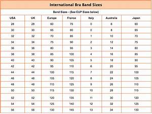 Bra Size Calculator Measurement Tool Get Accurate Fitting