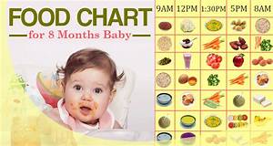 8 Month Baby Food Chart My Little Moppet Baby Viewer