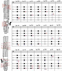 Bassoon Chart A Comprehensive Guide To Mastering The