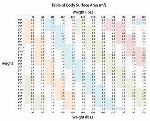 Dog Body Surface Area Chart