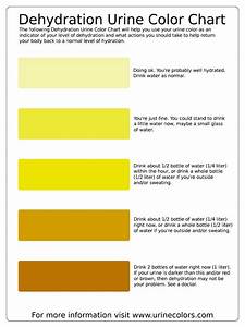 Taufanyanuar Dehydration Urine Color Chart