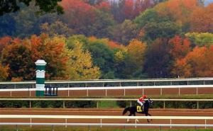 It S Breeders Cup Week At Keeneland