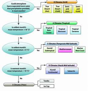 evolution of the earth s atmosphere flow chart the earth images