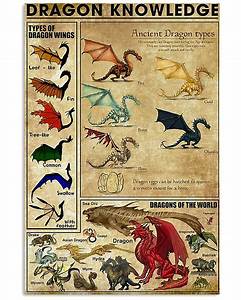 Dragon Knowledge Chart Dragon Artwork Dragon Artwork Types