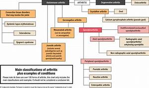 Classifications Of Arthritis Creakyjoints Australia