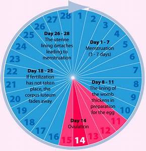 Ovulation News What You Don 39 T Know About Ovulation Calendar