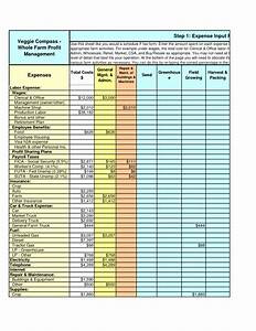 Farm Spreadsheet For Example Of Farm Accounting Spreadsheet Free