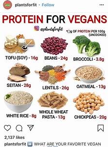 pin on vegan protein building