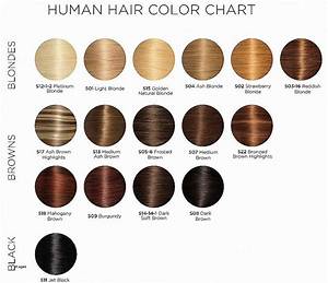 Wella Brown Color Chart