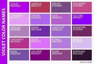 Lilac Color Vs Lavender In 2020 With Images Color Palette Challenge