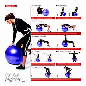 Stability Ball Progression Posters Set Of 3 Escape Fitness Ball