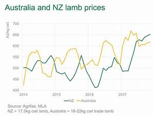 Lamb Prices Resist Spring Lull Farm Table