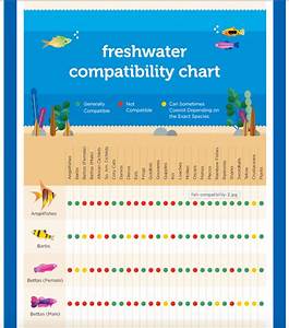 collecting aquarium fish species compatibility charts