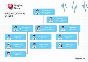 Download Hospital Organizational Chart 2 Organizational Chart