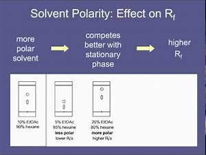 11 Solvent Polarity Effect On Rf Youtube