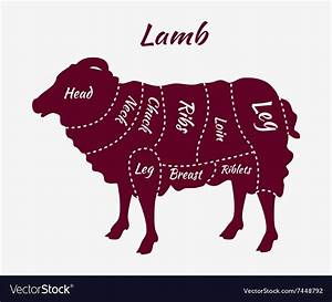 Cuts Of Lamb Or Mutton Diagram Royalty Free Vector Image
