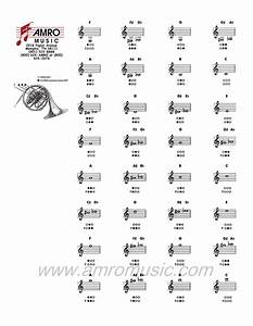 French Horn Chart Haha In 2019 ホルン