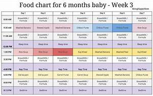 6 Month Baby Food Chart And Recipes In Tamil In 2021 Baby Food Chart