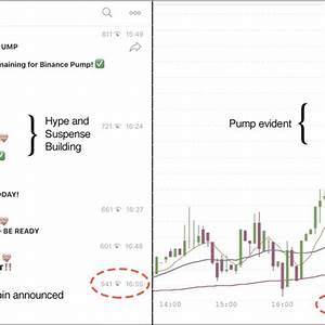 The Chart Depicts The Results Of A Pump And Dump Promoted By The Group