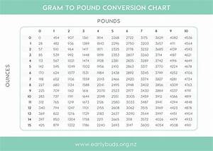 Neonatal Weight Conversion Chart