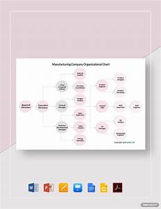 manufacturing company organizational chart template in google docs