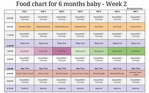 26 Baby Food 6 Months Schedule
