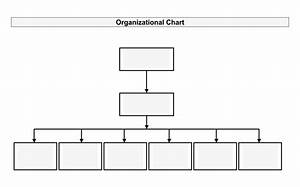 Blank Organizational Chart Template My Girl