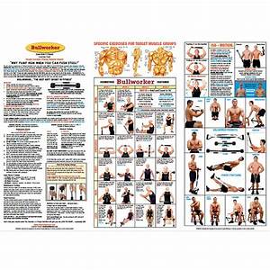 Chart X5 Men 39 S And Women 39 S Routine Bullworker Personal Home Fitness