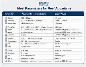 Reef Tank Water Parameters Bulk Reef Supply