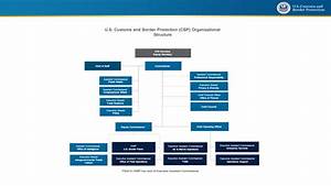 Cbp Organization Chart