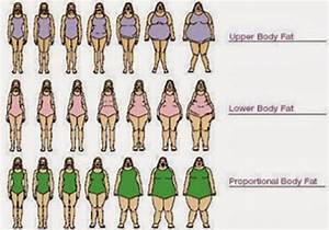 Body Types Chart Type Chart Lower Body Fat Upper Body Hide Belly