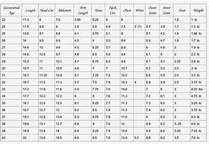 Kaitlin 39 S Angels Gestational Size Chart Preemie Crochet Preemie Hats