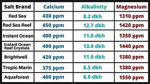 how to mix salt for saltwater aquariums 7 steps for best results